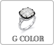 Коллекция G color